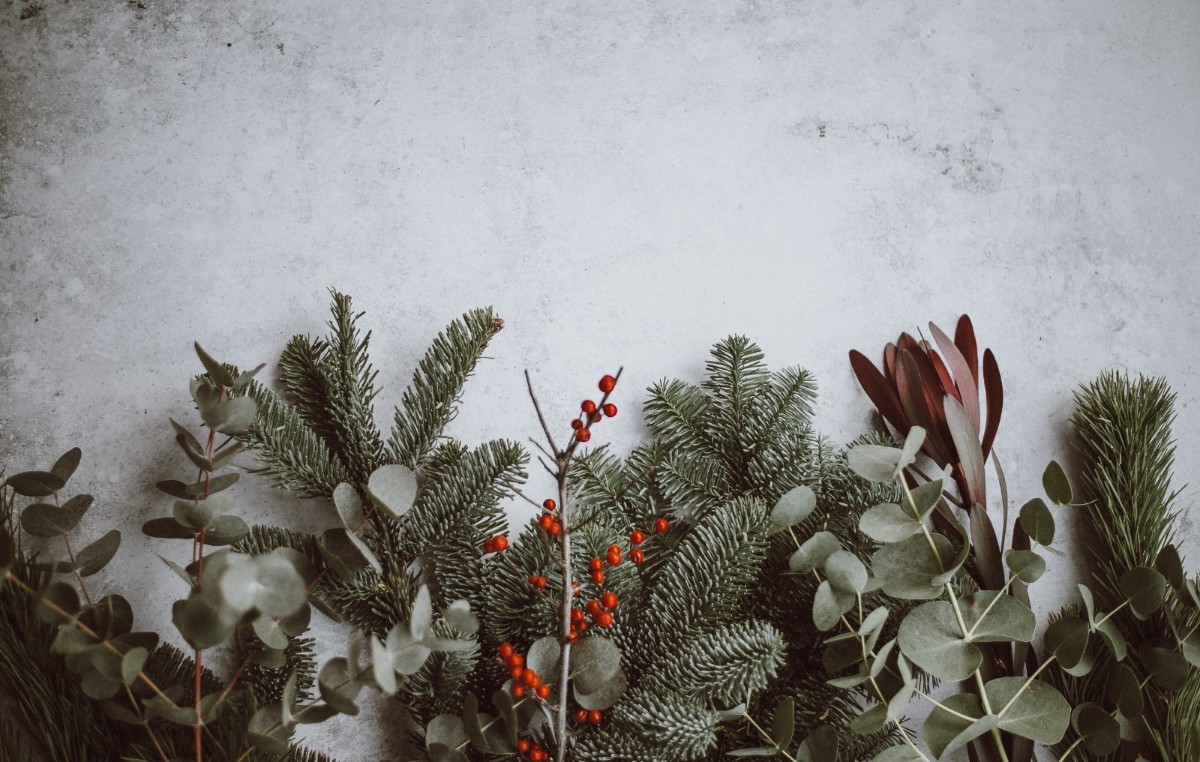 Julfest – Transformation to Go